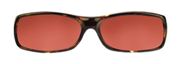 Blog-Lens-Color-Section_Roadster.png