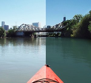 polarized-nonpolarized-split-amazon.jpg