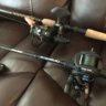 Bassin407