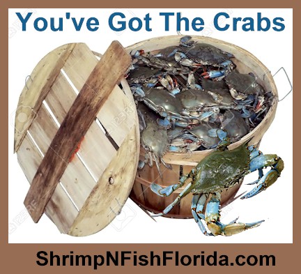 Blue Crabs