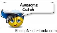 AwesomeCatch2