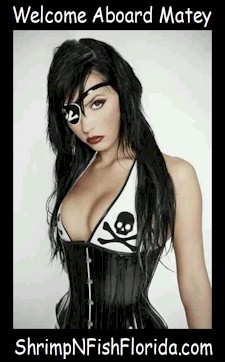 PirateArt109