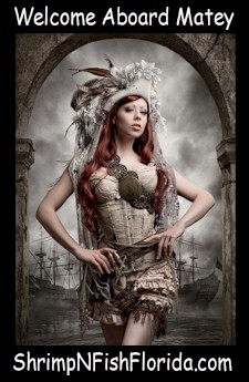 PirateArt142