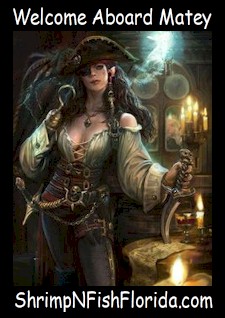 PirateArt154