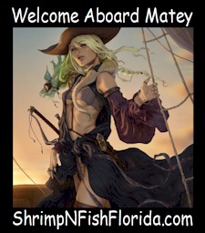 PirateArt184