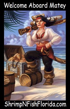 PirateArt189