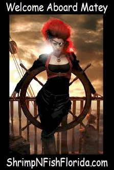 PirateArt52