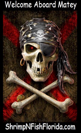 WelcomeAboard29