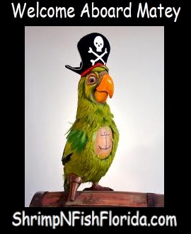 WelcomeAboard45