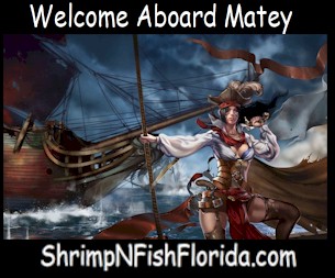 WelcomeAboard82