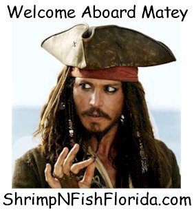 WelcomeAboard97