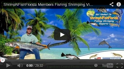 A FREE Online Fishing & Shrimping Forum Video