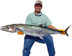 Check our our FREE online Fishing Shrimping Forum