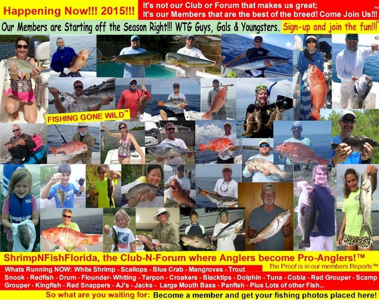 2015%252520starting%252520off%252520right%2525202.jpg
