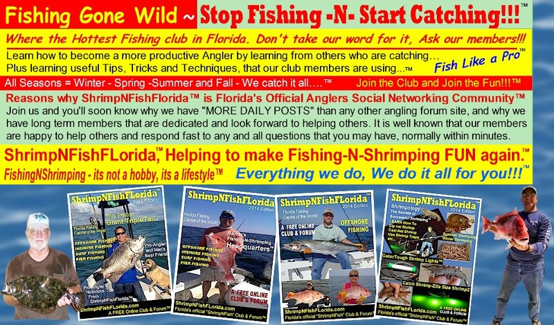 Fishing%252520Gone%252520Wild%2525201.jpg