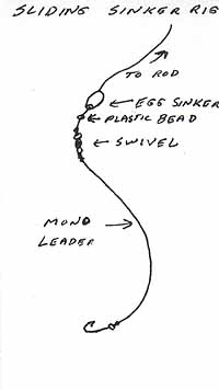 Rigs And Knots You Should Know When Fishing In The Surf And River ...