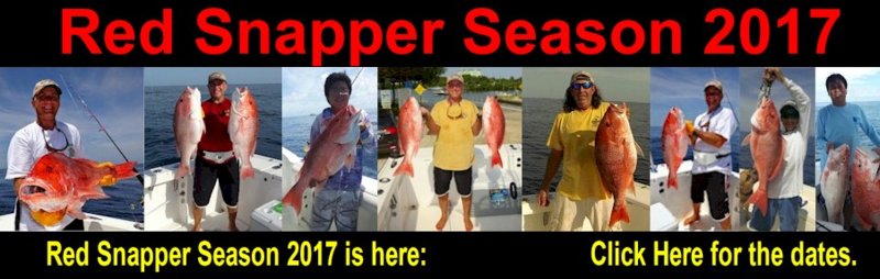 Florida Atlantic Red Snapper Season 2017 | ShrimpNFishFlorida™ is ...