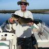 Pontoonafish